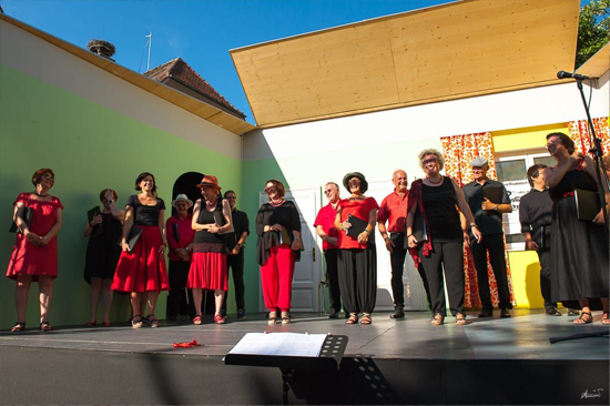 name: d'acchord 2019